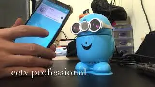 Cara seting minion babycam ip EasyN