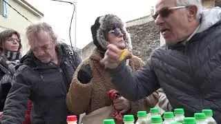 Fira de l'Oli i l'Olivera d'Espolla 2020