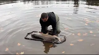 Carp Angler - Carp Fishing in Fall
