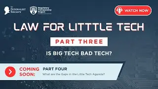 Law For Little Tech: Part 3 - Is Big Tech Bad Tech?