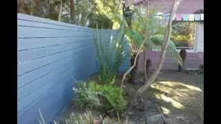 Los Angeles, Santa Monica, Malibu, Driveway Gate installation, Fences, Gates - 310-601-6616