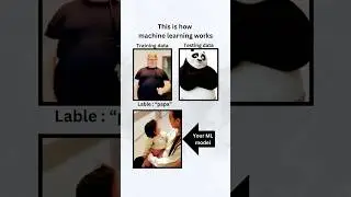 This is how machine learning works #ml #ai #training #machinelearning #artificialintelligence #funny