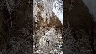 Snowy Valley. Snowy Trees. #snowy #snowytrees #snowyvalley #foryourpage