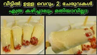 വെറും 2 ചേരുവകൾ മാത്രം മതി✅️ ഒരു കിടിലൻ (2 INGREDIENTS KULFI ) കുൽഫി ഐസ്ക്രീം 😋😋 | Malayalam
