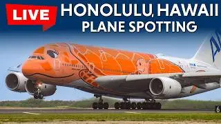 Up-Close A380 Departures at HNL/PHNL Honolulu Hawaii - Live Planespotting 2-14-2026