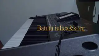 KORG Pa3X & Batuta