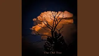 The old tree