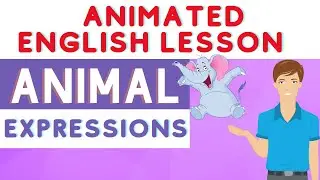 Learn English Animal Expressions | Animated English Lesson