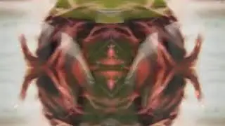 Animal Collective - Honeycomb (slowed)
