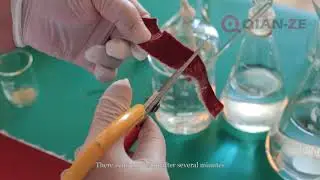 Corrosion resistance test