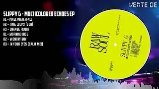 Slippy G - Multicolored Echoes EP [BLACK] (RAWSOUL010)