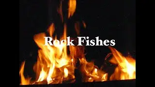 Rock fishes mv (Some good parts of 2020)
