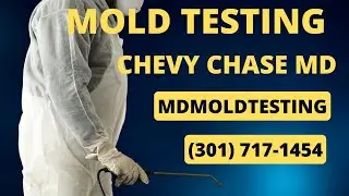 Mold Testing Chevy Chase Maryland