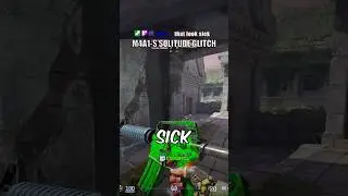 Glitched M4A1-S Solitude Looks INSANE💀