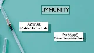 Catalyst Biology Click: Type Of Immunity