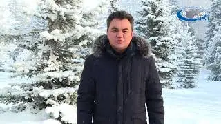 Yalalov NY 2019