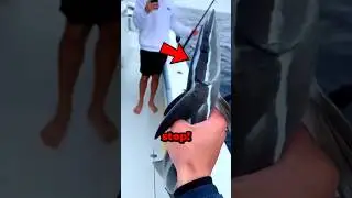 Sticky Fish On Body 😯