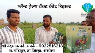 Plant Health Bact Kit Result For Tur Crop #farmingvideos #shetivishyakmahiti #farmer #cropfarming