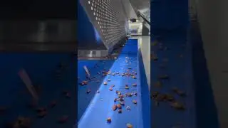 TAIHO Color Sorter AI Almond Sorting Machine #colorsorter #sortingmachine #taihosorting