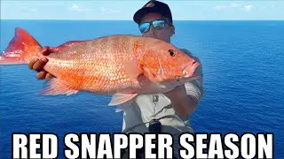 Red Snapper Fishing Tampa Bay: Tips, Tricks, And Techniques To Catch Snapper!