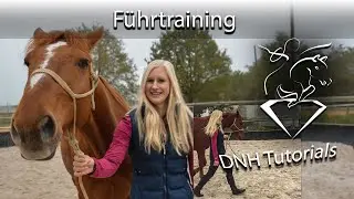 Führtraining 2 - Wie das Pferd an Deiner Seite bleibt | Natural Horsemanship