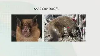 SARS-CoV-2, un nuevo pat&oacute;geno: &iquest;qu&eacute; sabemos de &eacute;l?. Dr. Rafael Delgado V&aacute;zquez