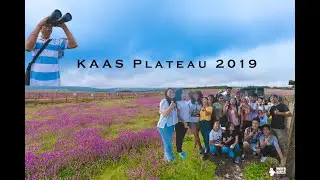 VALLEY OF FLOWERS IN MAHARASHTRA | KAAS PLATEAU\ KAAS PATHAR  VLOG | 2019 | SATARA | PUNE