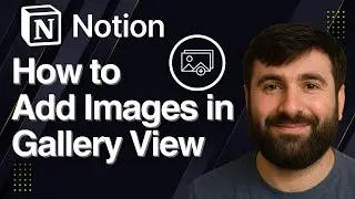 Как добавить изображение в галерею в Notion | Краткое руководство 2025
