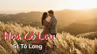 HOA CỎ LAU- ST. AI Tô Long,  Song ca Valse- Ký ức mối tình đầu. 