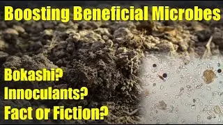 Is There a Quick Way to Increase Your Soil Microbe Population?