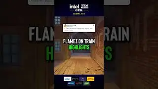 FlameZ Highlights IEM Cologne Semifinals