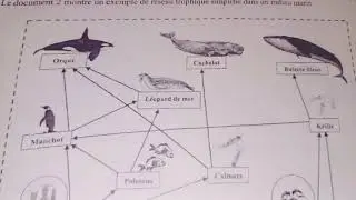 تصحيح العلوم 2024 الجزء الثاني مباراة التعليم الابتدائي 