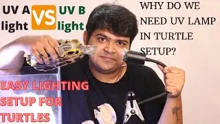 UV LIGHT SCAM IN INDIA ? || UV LAMP IN TURTLE TANK || WHY DO WE NEED UV LAMP FOR TURTLE AND REPTILES
