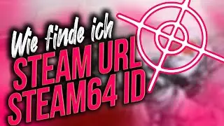 Wie finde ich meine Steam Link URL und Steam 64 ID