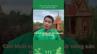 RỜI PHỐ VỀ QU&Ecirc; KHỞI NGHIỆP VỚI NG&Agrave;NH NGHỀ THU MẬT HOA DỪA |KHỞI NGHIỆP  |MẬT HOA DỪA SOKFARM