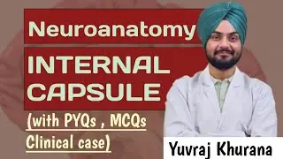 Internal capsule | Easy explanation| Neuroanatomy | Medico Paji