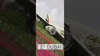 Dubai Emirates plane at Miracle Garden A380 #shorts #dubai