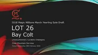 2018 Magic Millions March Sale: Clear Mountain Fairview Lot 26