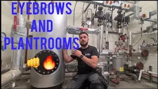 Keeping Eyebrows In Shape, and Some Commercial Plant Rooms