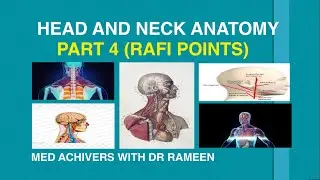 Head And Neck Anatomy part 4 (rafi points) Fcps 1