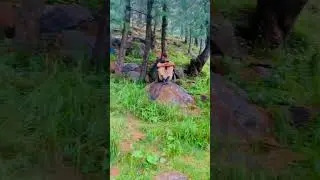 My beautiful home twon perfect weather perfect day and perfect ground #nature#travel#saiyaara 