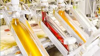 How GUMMY CANDY is Made