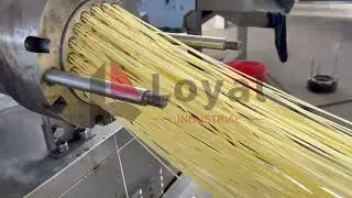 LOYAL 100 Model Long Pasta Machine &mdash; Efficient, Stable, and Fully Automatic! #pastamachine