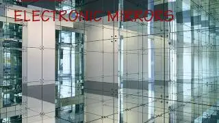 Thomas Fanger - ELECTRONIC MIRRORS