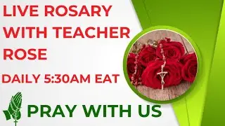 MARY UNDOER OF KNOTS ROSARY NOVENA DAY 15