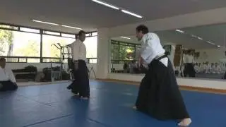Aikido Master Michael Moreno 6th Dan Aikikai