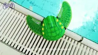 Cooee Schwimmbad Spielzeug - Turtle Glider