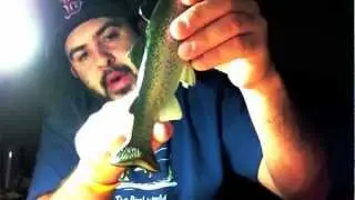 Huddleston Deluxe Swimbait Tail Boiling Mod Tip (TeamRippnLipz1)