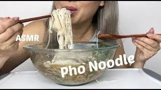 ASMR | PHO NOODLE | SLURPING EATING SOUNDS | N.E LETS EAT