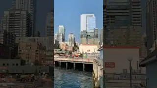 😍👌 Seattle Waterfront, pier 57!! #shorts #seattle #pier57 #downtownseattle #washington